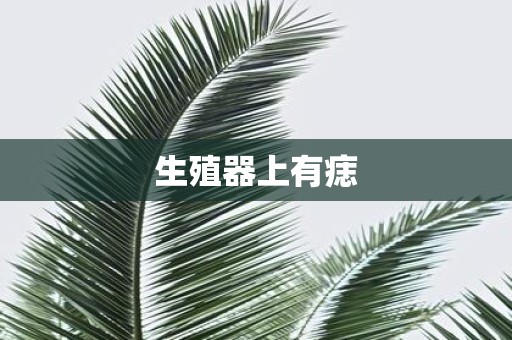 生殖器上有痣