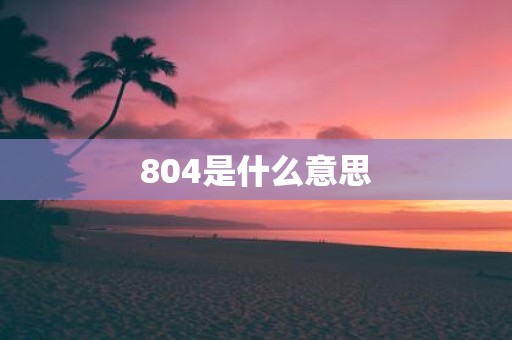 804是什么意思