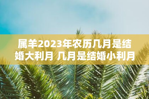 属羊2025年农历几月是结婚大利月 几月是结婚小利月