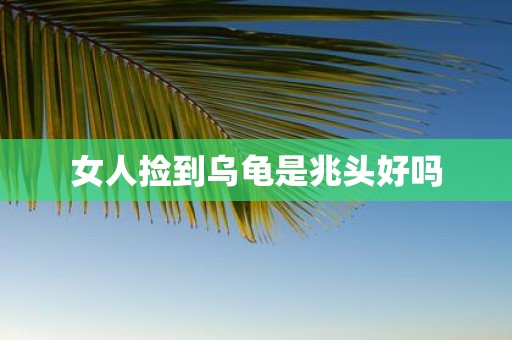 女人捡到乌龟是兆头好吗