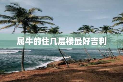 属牛的住几层楼最好吉利