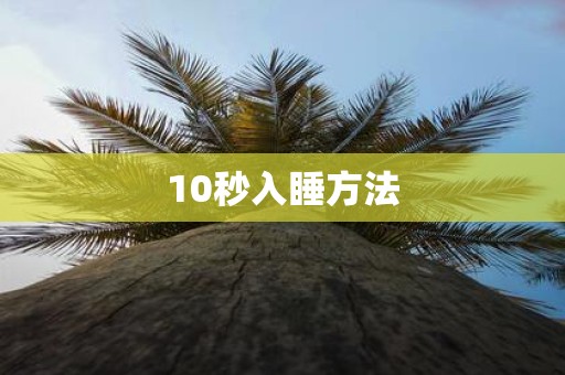 10秒入睡方法