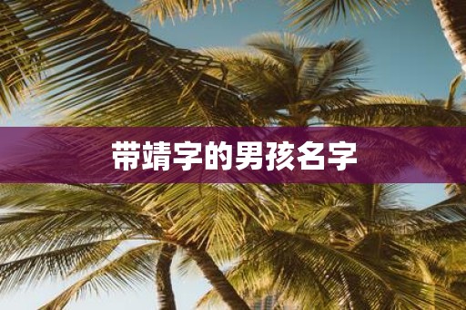 带靖字的男孩名字