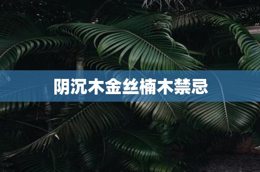 阴沉木金丝楠木禁忌