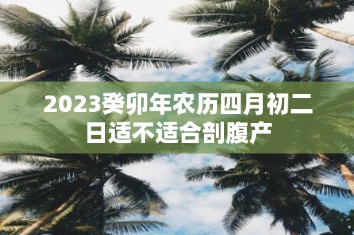 2025癸卯年农历四月初二日适不适合剖腹产