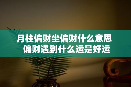 月柱偏财坐偏财什么意思 偏财遇到什么运是好运