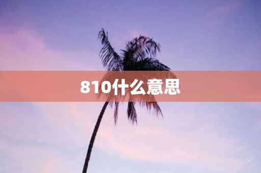 810什么意思