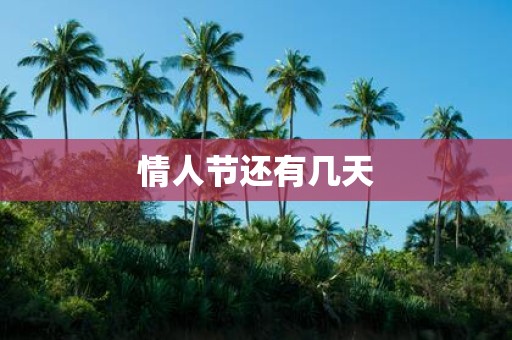 情人节还有几天