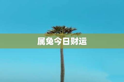 属兔今日财运