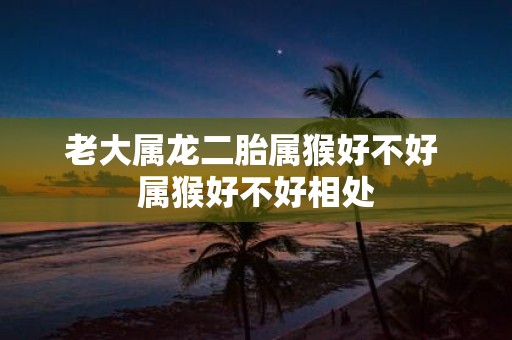老大属龙二胎属猴好不好 属猴好不好相处