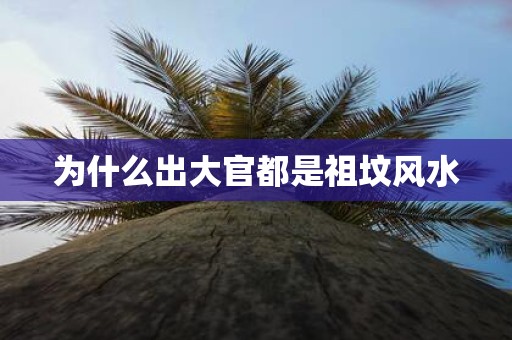 为什么出大官都是祖坟风水