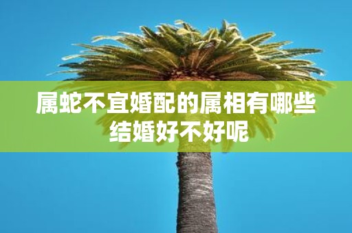 属蛇不宜婚配的属相有哪些 结婚好不好呢