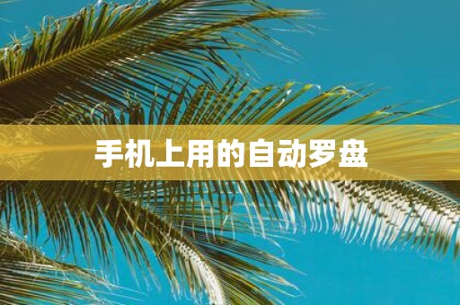 手机上用的自动罗盘