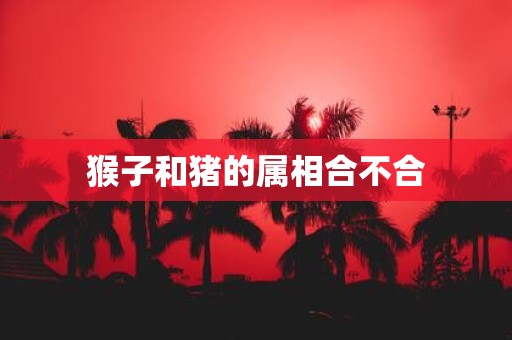 猴子和猪的属相合不合