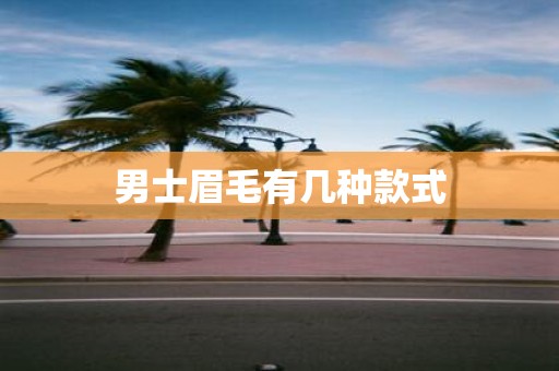 男士眉毛有几种款式
