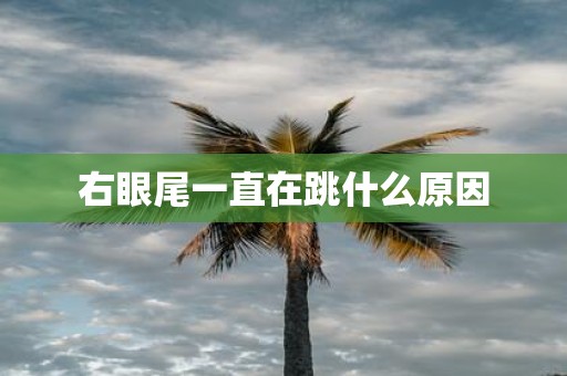 右眼尾一直在跳什么原因