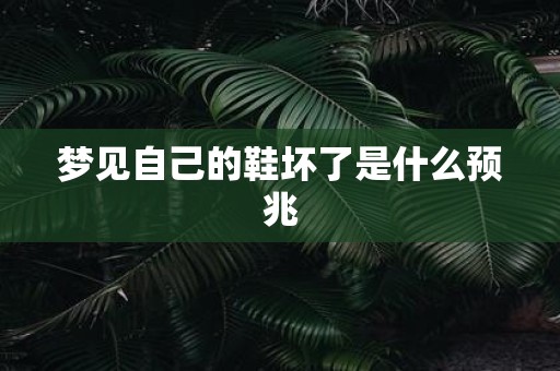 梦见自己的鞋坏了是什么预兆