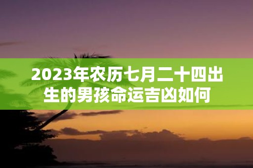 2023年农历七月二十四出生的男孩命运吉凶如何