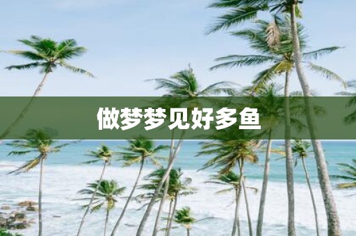 做梦梦见好多鱼