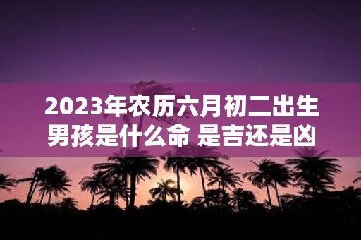 2025年农历六月初二出生男孩是什么命 是吉还是凶