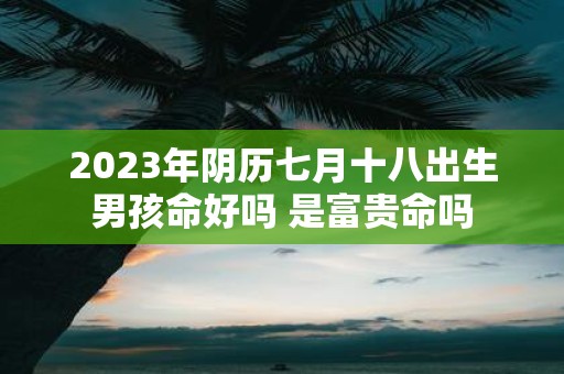 2025年阴历七月十八出生男孩命好吗 是富贵命吗
