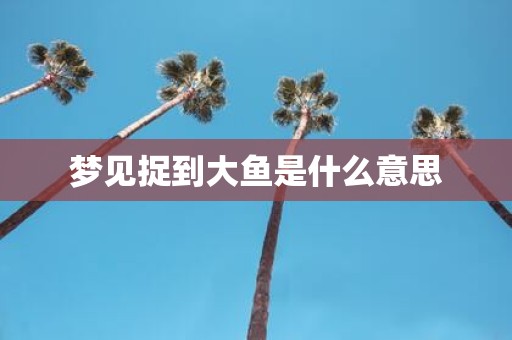梦见捉到大鱼是什么意思