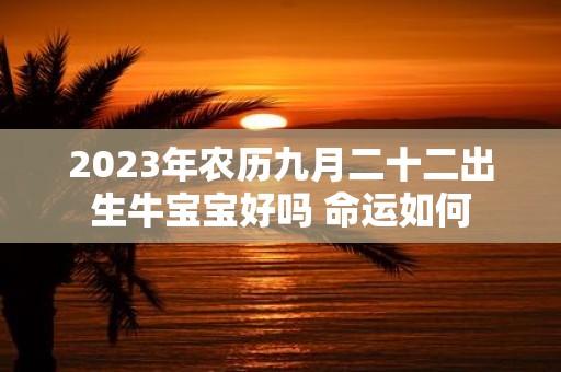 2025年农历九月二十二出生牛宝宝好吗 命运如何