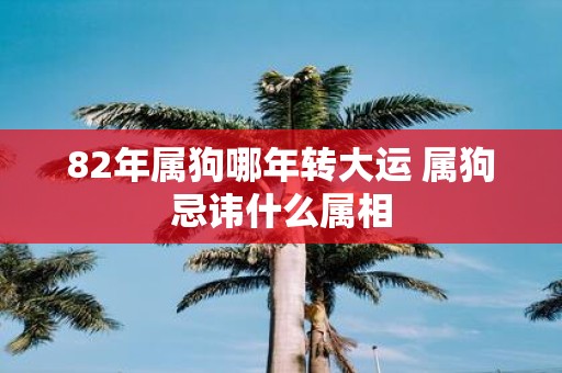 82年属狗哪年转大运 属狗忌讳什么属相