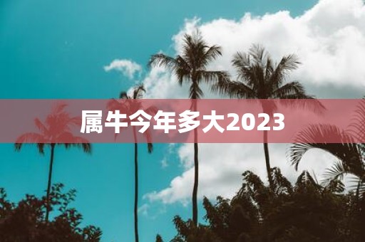 属牛今年多大2025