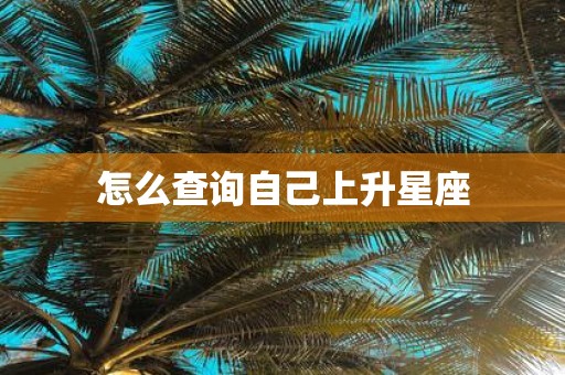 怎么查询自己上升星座