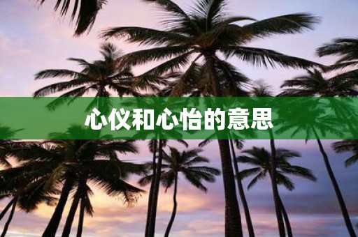心仪和心怡的意思