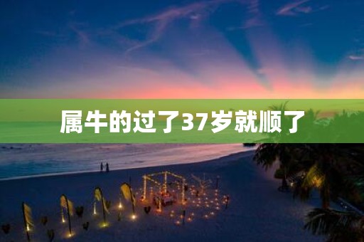 属牛的过了37岁就顺了