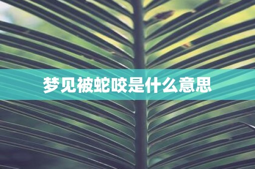 梦见被蛇咬是什么意思