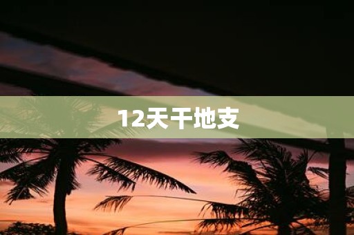 12天干地支