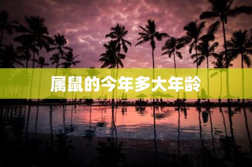 属鼠的今年多大年龄