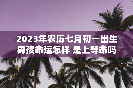 2025年农历七月初一出生男孩命运怎样 是上等命吗