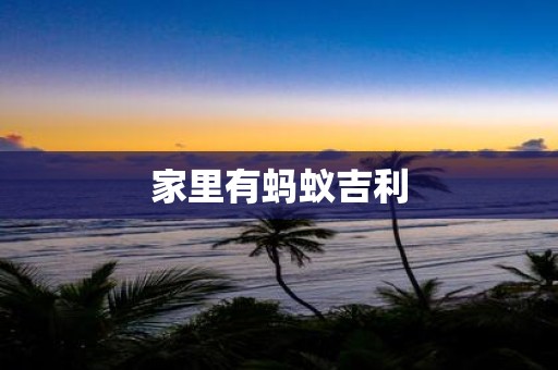 家里有蚂蚁吉利
