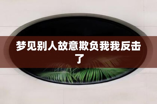 梦见别人故意欺负我我反击了