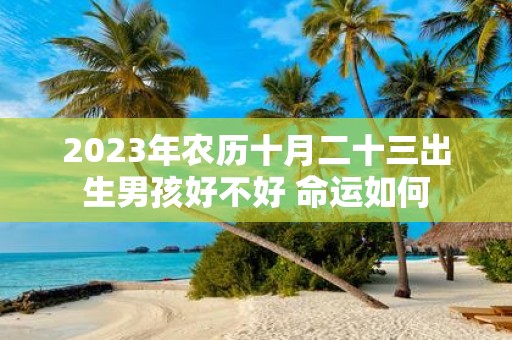 2025年农历十月二十三出生男孩好不好 命运如何