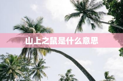 山上之鼠是什么意思