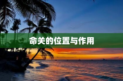 命关的位置与作用