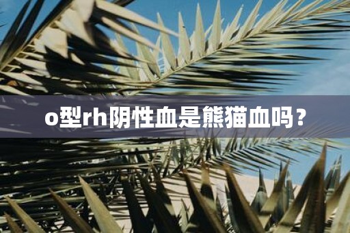 o型rh阴性血是熊猫血吗？