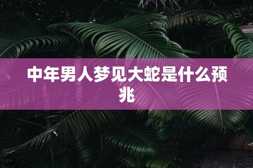 中年男人梦见大蛇是什么预兆