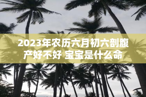 2025年农历六月初六剖腹产好不好 宝宝是什么命