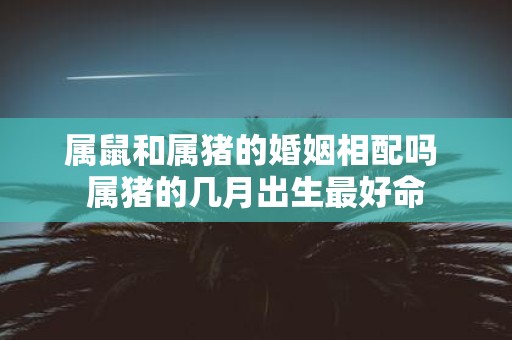 属鼠和属猪的婚姻相配吗 属猪的几月出生最好命