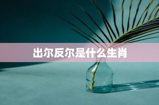 出尔反尔是什么生肖