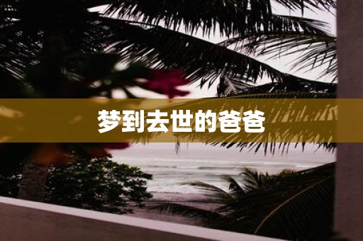 梦到去世的爸爸