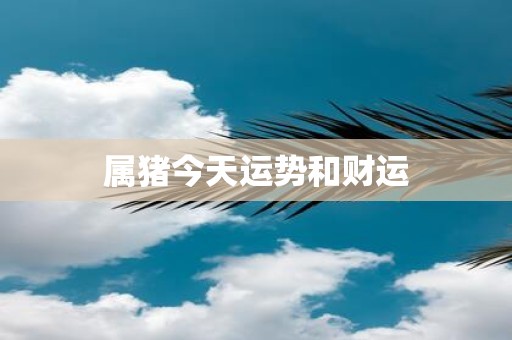 属猪今天运势和财运