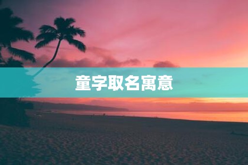 童字取名寓意
