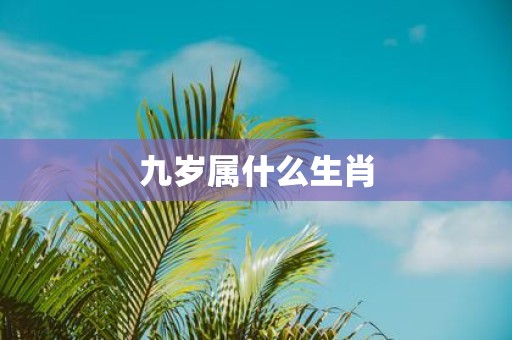九岁属什么生肖
